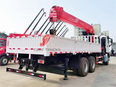 Philippine Isuzu GIGA 380HP boom crane truck
