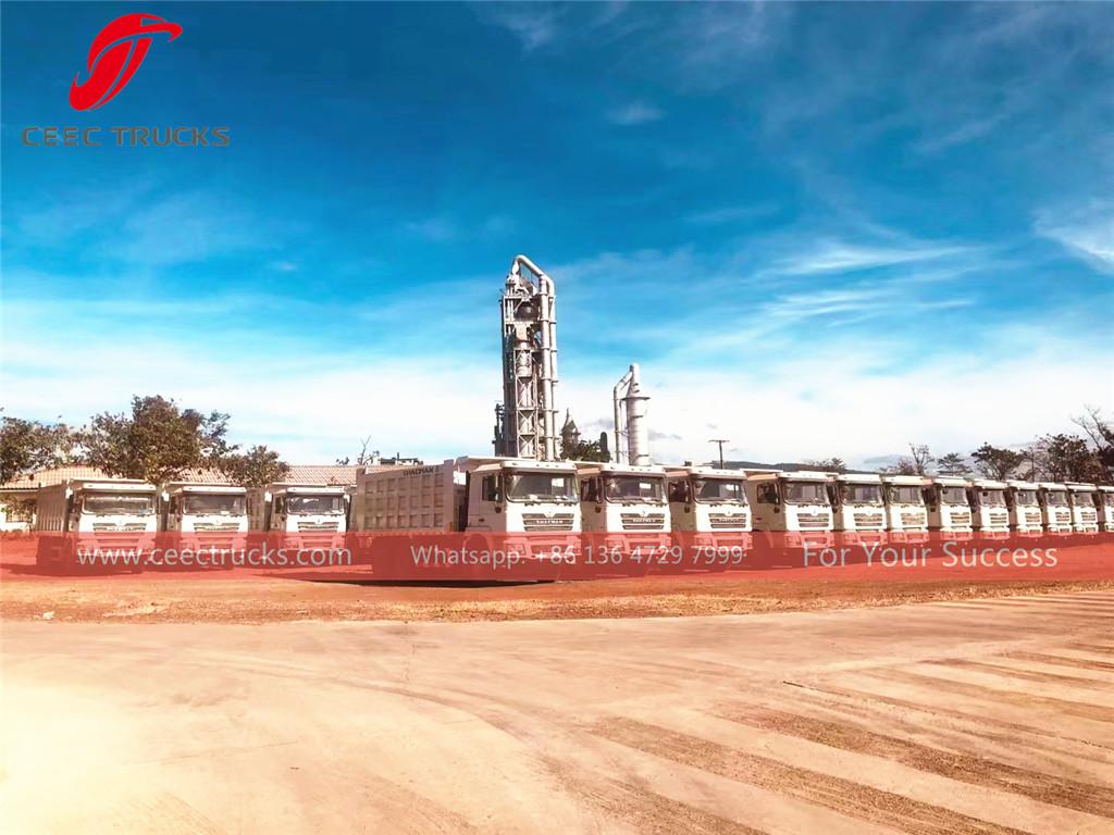 ギニア向け 20台 陕汽（シャックマン）ダンプトラック（鉱山作業用）